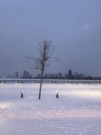 photo_10.jpg